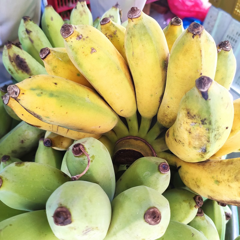 Chuối sứ (1 nải)